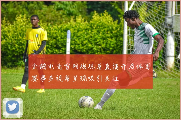 企鹅电竞官网线观看直播开启体育赛事多视角呈现吸引关注